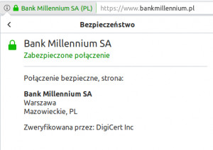 certyfikat ssl ev - WP Care fragment okna przeglądarki internetowej