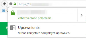 certyfikat ssl dv - WP Care fragment okna przeglądarki internetowej