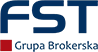 Logo fst.torun.pl