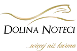 Logo dolina-noteci.pl