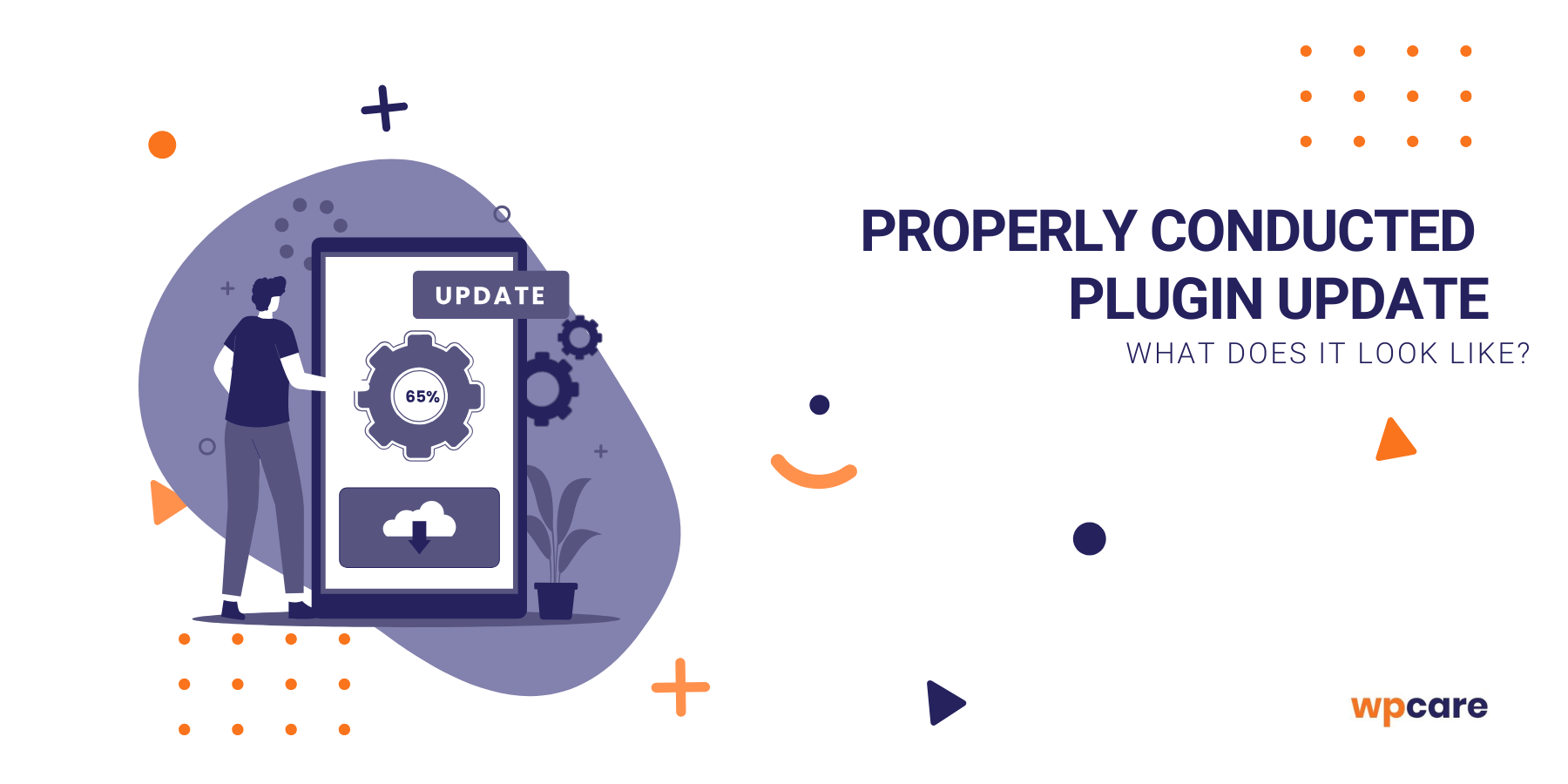 What does a&nbsp;properly conducted plugin update look like?
